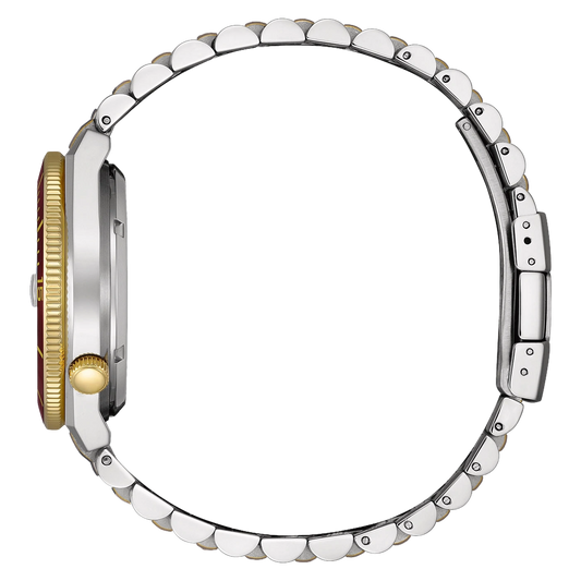 Citizen Tsuyosa Shore NJ0234-58X bicolor con esfera roja - vista lateral